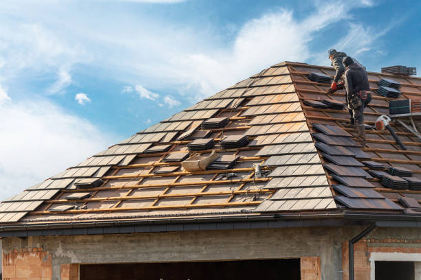 Best Solar Panel Roofing Installation  in Mount Vernon, VA