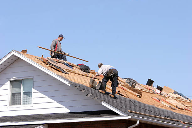 Best Gutter Installation and Repair  in Mount Vernon, VA