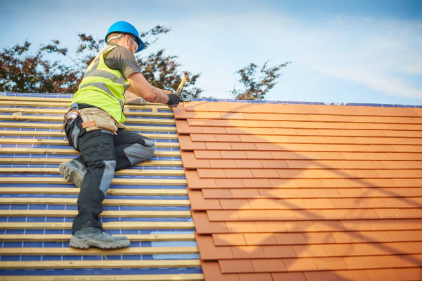 Best Roofing for New Construction  in Mount Vernon, VA